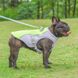Літній охолоджуючий жилет для собак Green, XL, 50 см, 60-80 см, 51 см