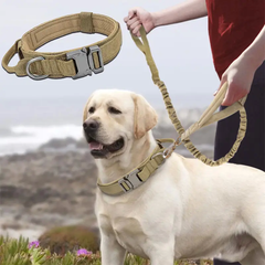 Тактический ошейник с поводком и металлической фурнитурой для собак